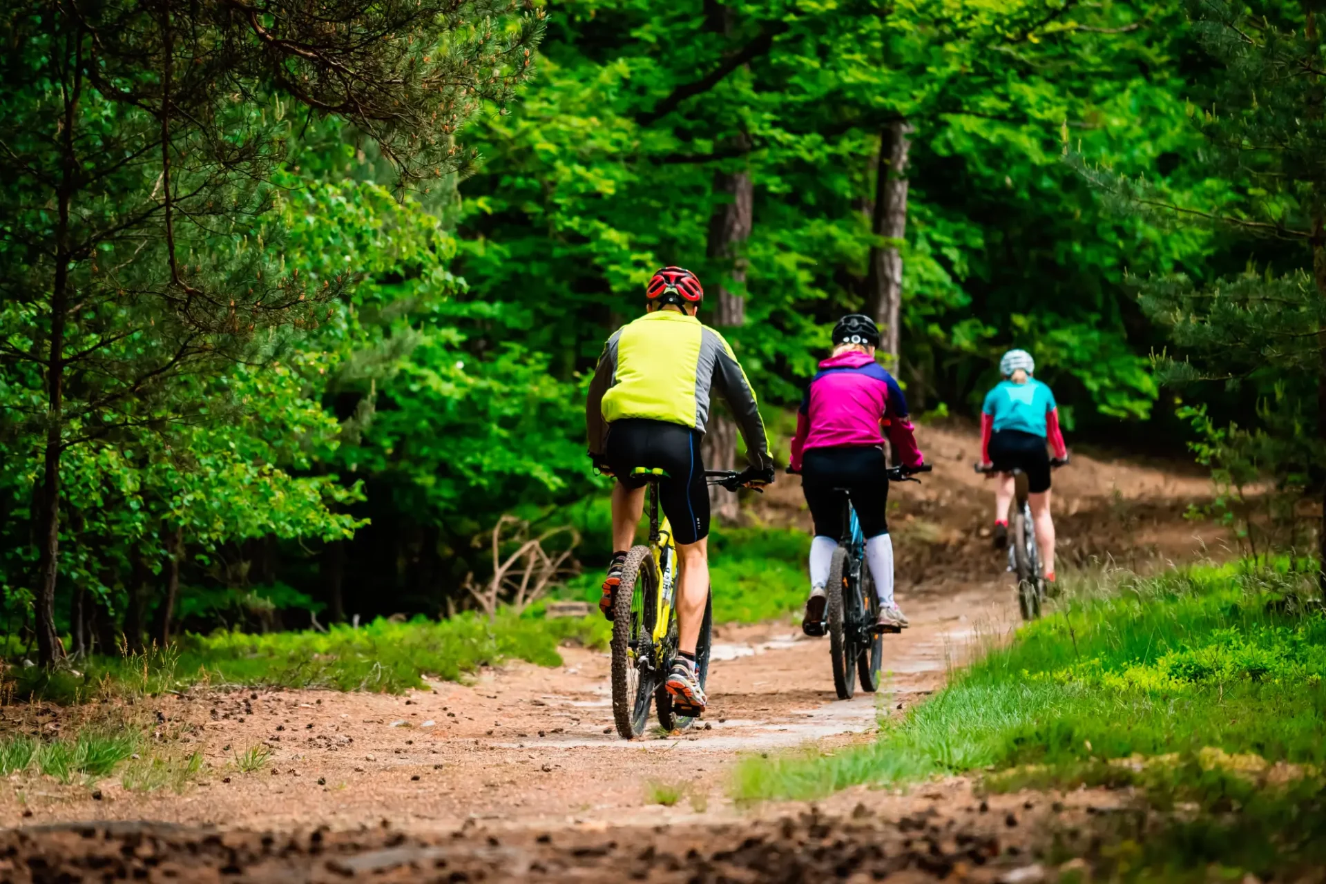 Three cyclists ride along a dirt path in a lush green forest, surrounded by vibrant trees and foliage